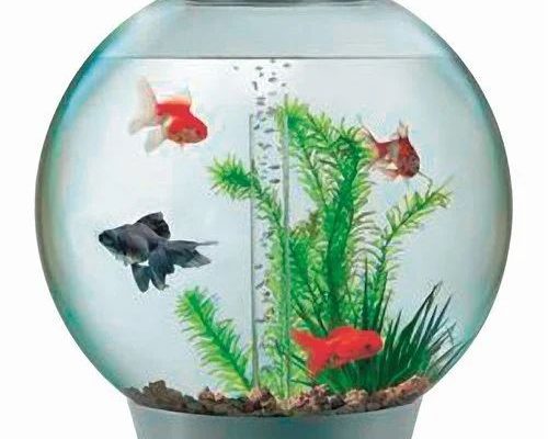The Best Fish Tank Water Conditioners for Healthy Fish