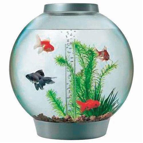 The Best Fish Tank Water Conditioners for Healthy Fish