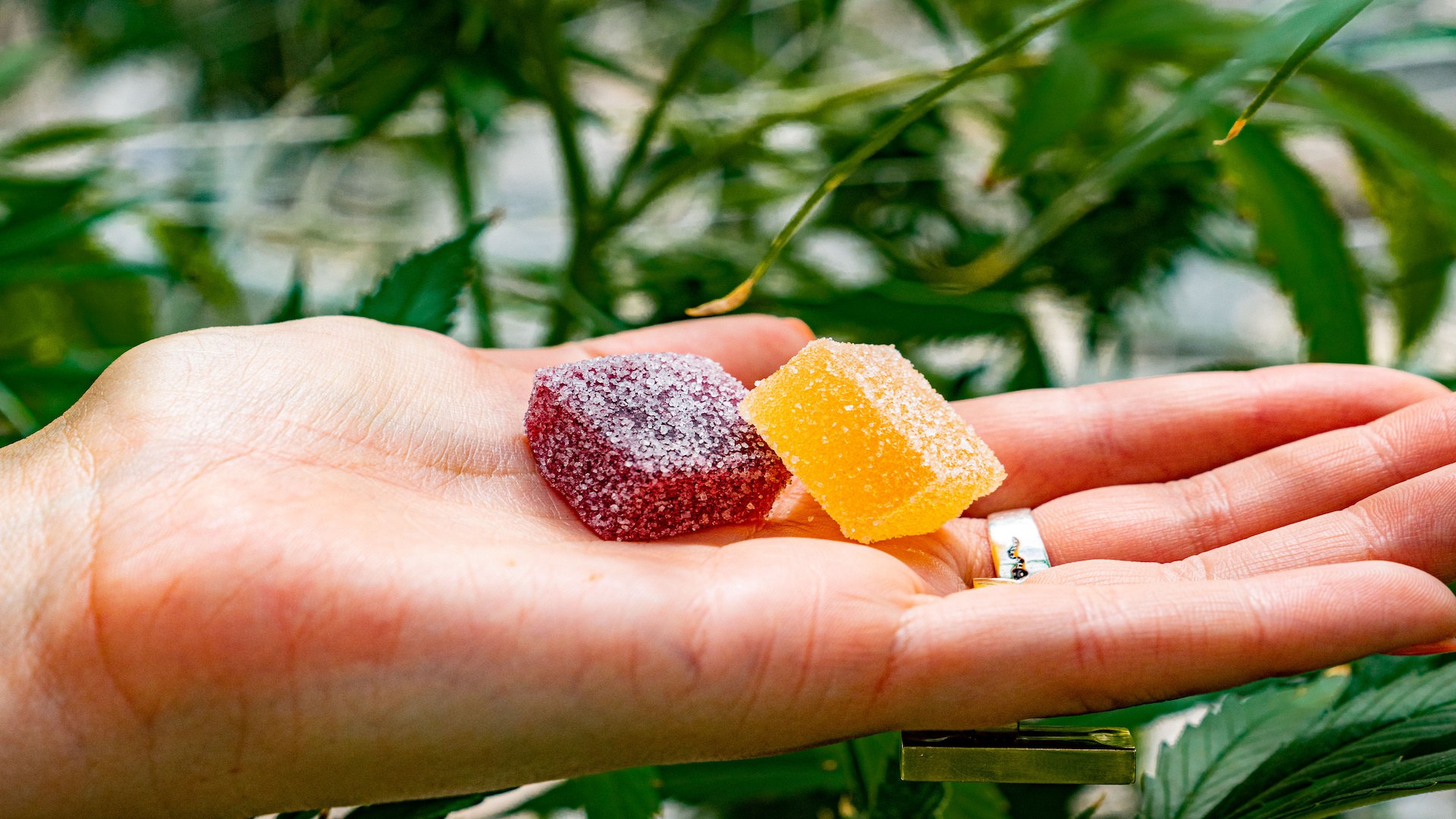 Gummies with a Twist Discover the Unique Properties of Delta 8 for Relaxation