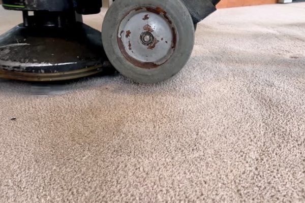 How to Choose the Right Carpet Cleaning Service